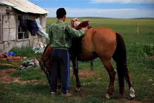 草原上的牧马少年