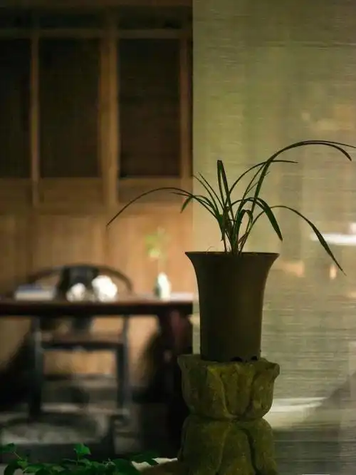 一处茶席,几张木椅,心无旁骛的生活格调,仅靠意境之美就让我们心旷神