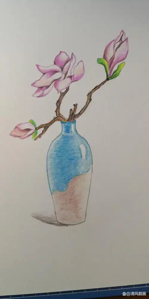 彩铅画:画花瓶的详细线稿步