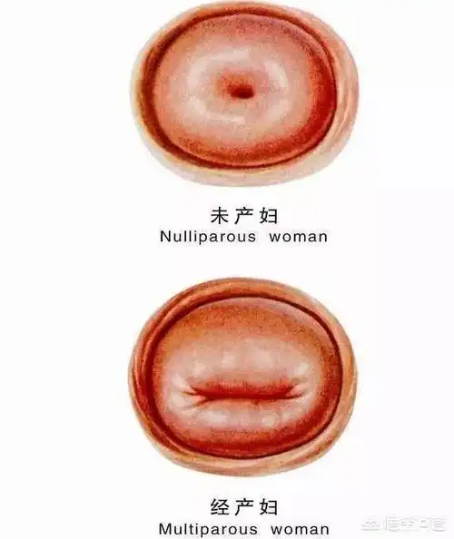 校长新学期全校教职工大会讲话稿