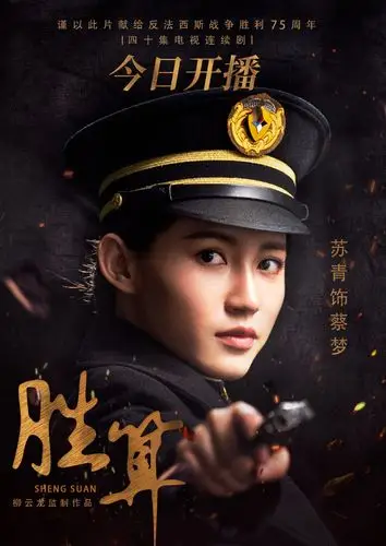 苏青胜算海报图片