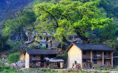 普者黑唯美自然风景桌面壁纸