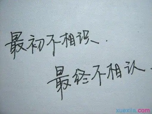 看着很心痛的带字图片_心伤感的唯美图片