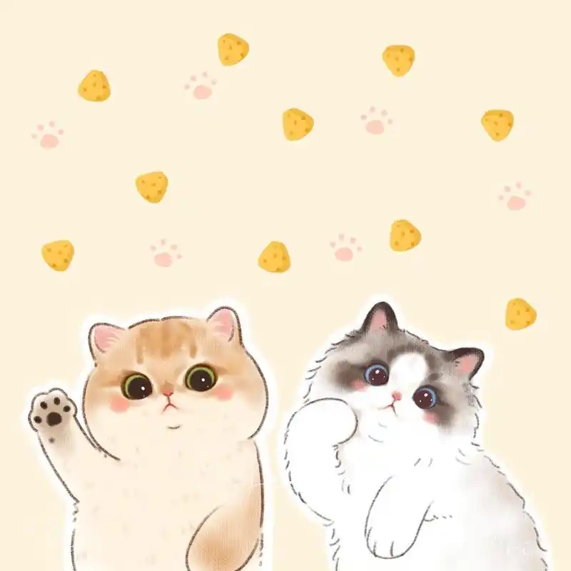 96宠物头像|超级无敌可爱的q版猫猫画像 作为一个之前一直都很喜欢