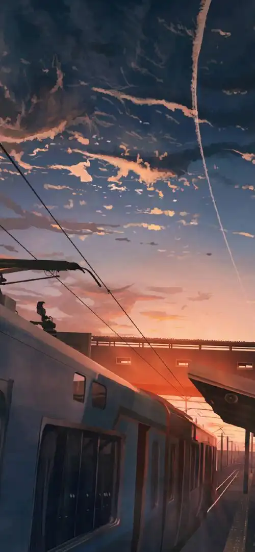 iphone11壁纸 锁屏壁纸 全面屏壁纸 聊天背景 卡通 星空 风景 简约