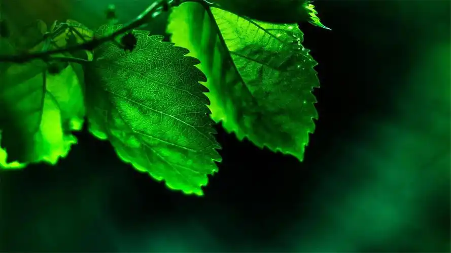 生活中很多人秉承踏踏实实做人吃亏在前享乐在后的处世法则