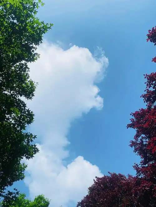 1080_1439竖版 竖屏