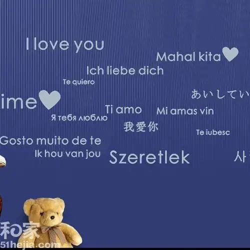 1,中国:我爱你 2,英语:iloveyou 3,法语:jetaime,jetadore 4,德语