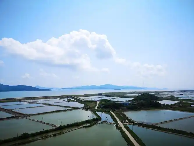 长街贝类主要养殖模式和养殖效益关键问题点