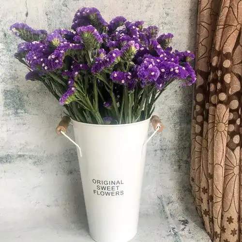 干花云南勿忘我花花束带花瓶套装天然家居摆设干花