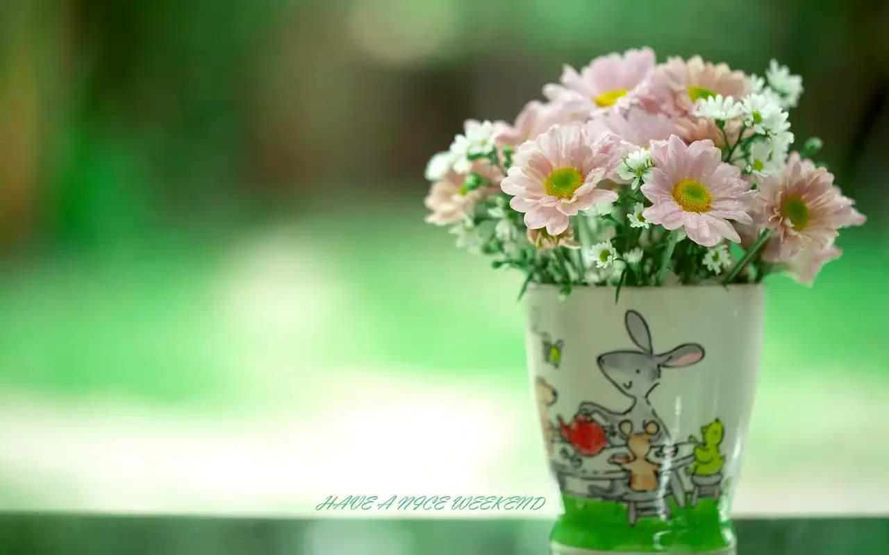 小清新治愈系盆栽锁屏电脑高清壁纸图片下载