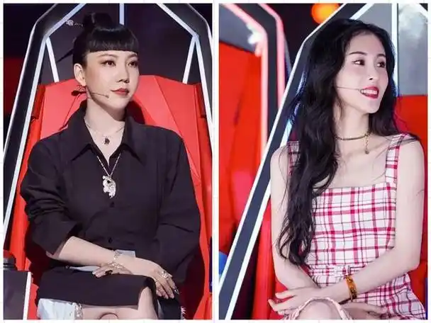 华晨宇的老婆(母凭子贵张碧晨为爱生女获2亿补偿)-万思特网