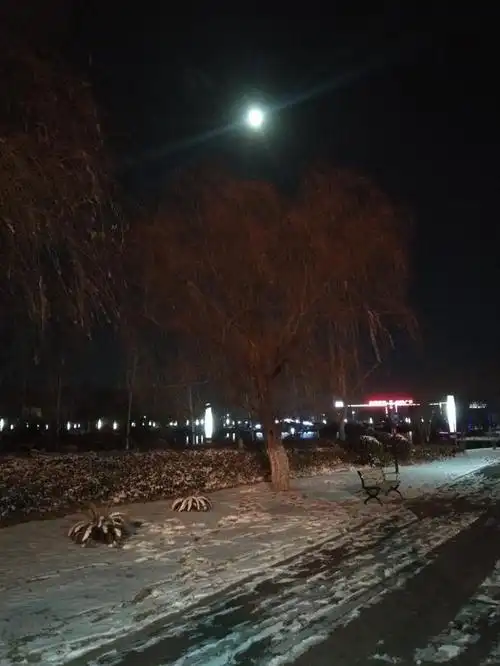 五律《月下雪夜思》