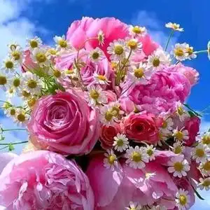 好运连连平安头像