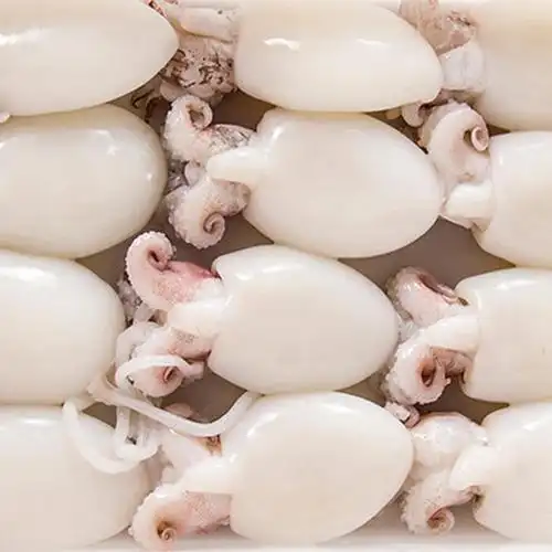 【阿根廷直供】野生纯干墨鱼仔