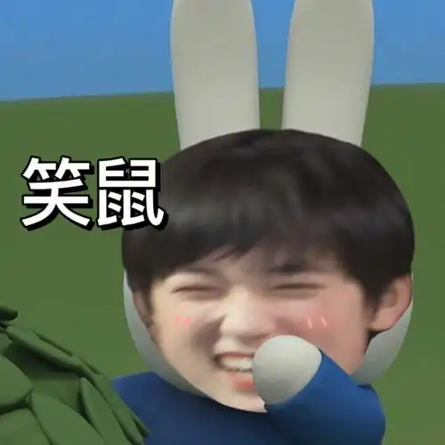 宋亚轩米菲兔表情包2