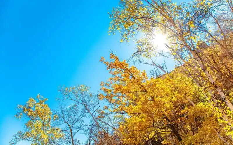 唯美意境阳光桌面壁纸 - tt98图片网