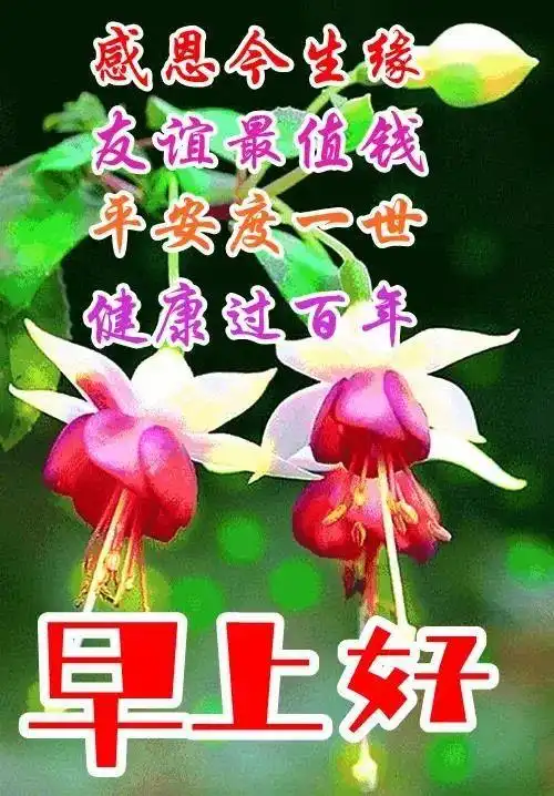 唯美亲人朋友早上好祝福语图片大全免打字夏日清晨友谊早安问候语图片