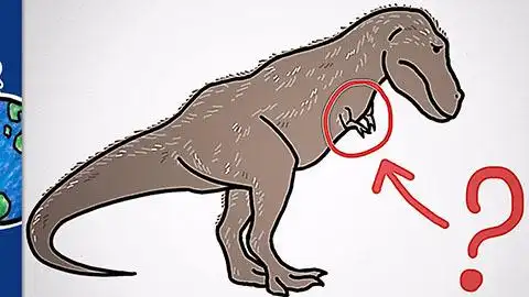 为什么霸王龙的前爪这么萌?