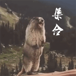 土拨鼠的搞笑动图表情包