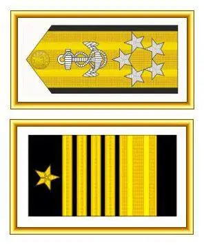 首批授予3人:海威廉 5-1-03 上图为美国海军《5星上将肩章袖章》