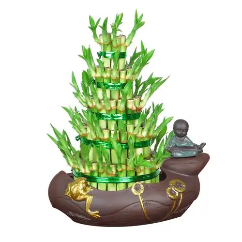 富贵竹植物水养客厅招财盆栽节节高竹塔土培绿植办公好养送礼盆景