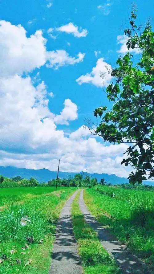 简单的小清新风景,高清图片,手机锁屏桌面-壁纸族