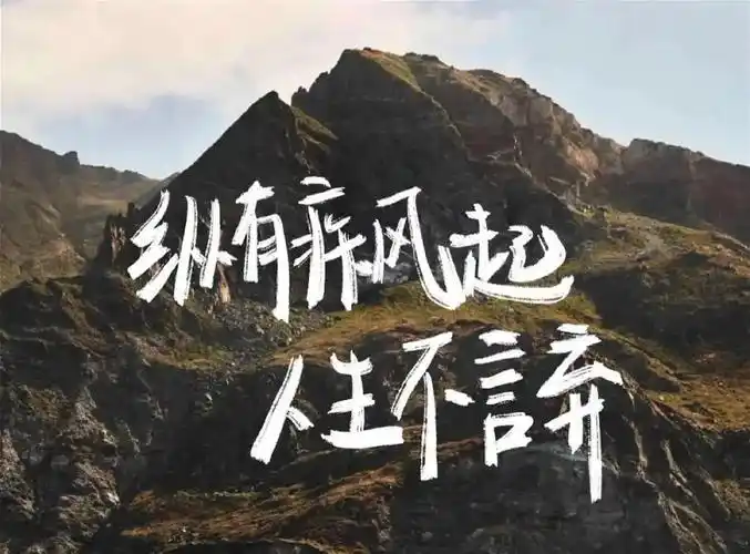 致义无反顾做空黄金的我们!后续市场超出认知,空头们谨慎对待