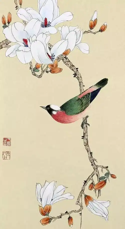 欣赏一组经典工笔花鸟画50图,超美,让人大饱眼福