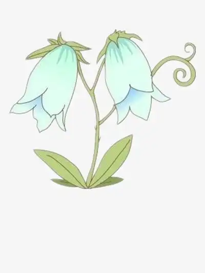 枯萎的牵牛花素材图片