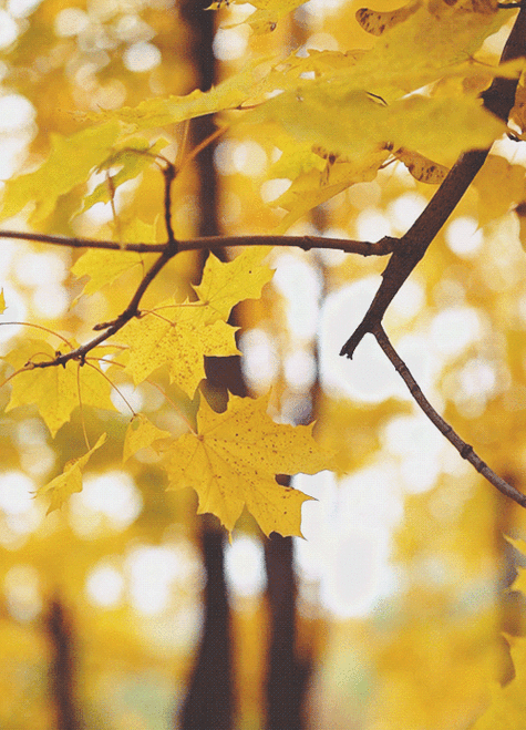 500_694竖版 竖屏gif 动态图 动图