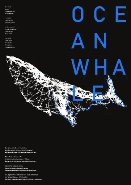 1609视觉传达设计系实验性海报