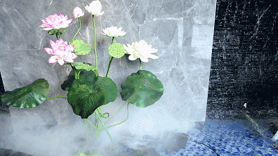 空气中弥漫着仙音,宛若仙境中穿行……一池碧绿,娇嫩的荷花含苞待放