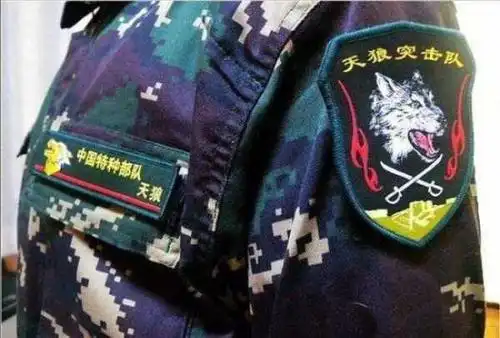 五: "雷神"突击队