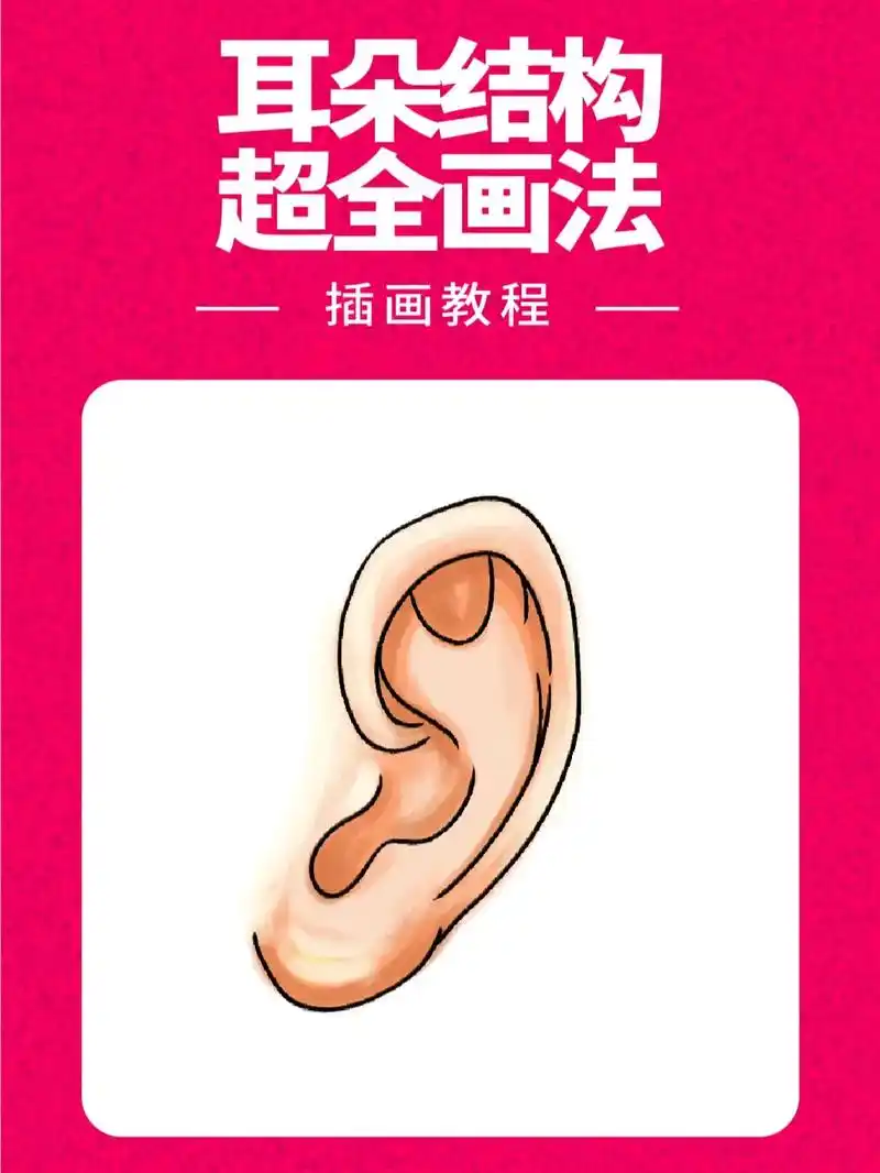 插画教程—耳朵超全画法.#插画 #插画教程 #商业插画 #插 - 抖音