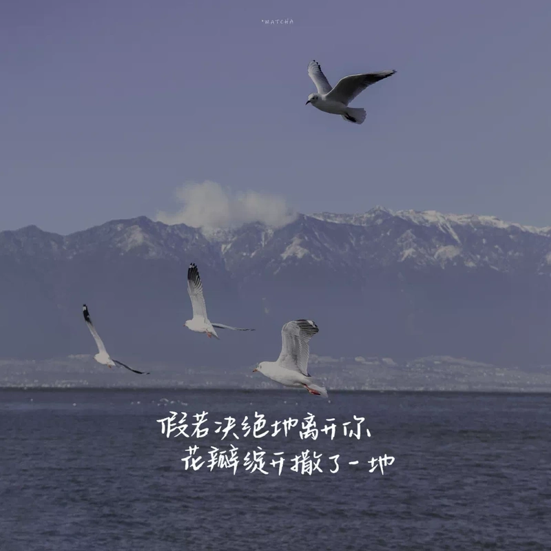 朋友圈背景图|微信封面页