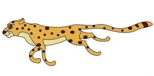 正在奔跑的猎豹简笔画怎么画可爱彩色猎豹简笔画步骤画法