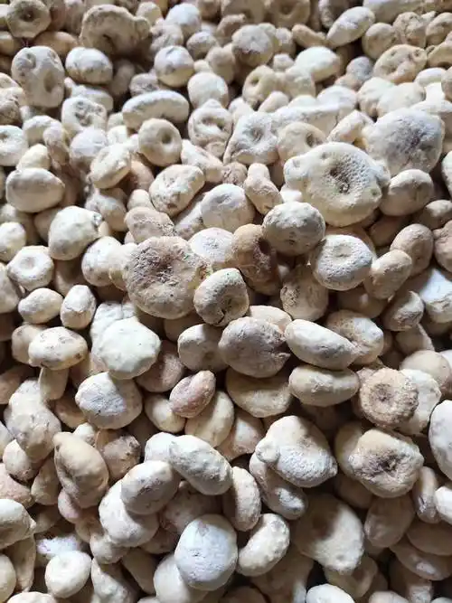 中药制南星的价格