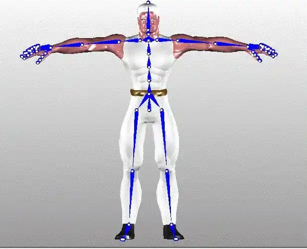 skeletal animation(骨骼动画)