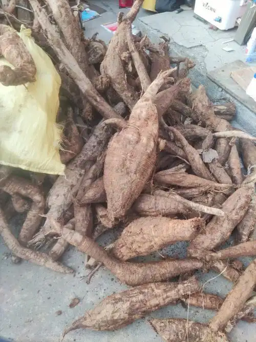 今天收了2000千年前倒计时加工葛根粉