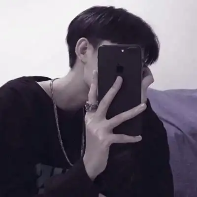 2021手机挡脸帅哥头像,男生头像图片-回车桌面