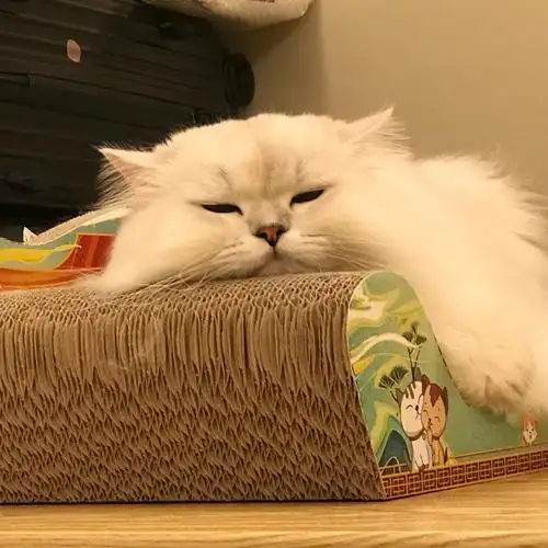 感觉累了就放空自己