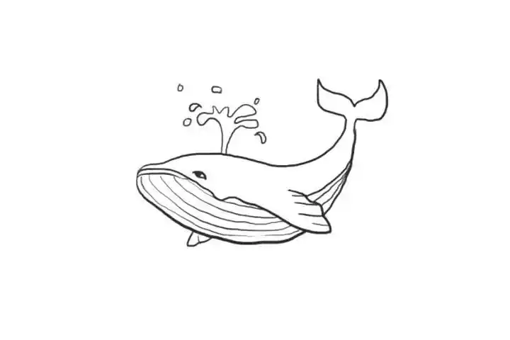 鲸鱼简笔画图片大全 鲸鱼简笔画图片大全可爱彩色