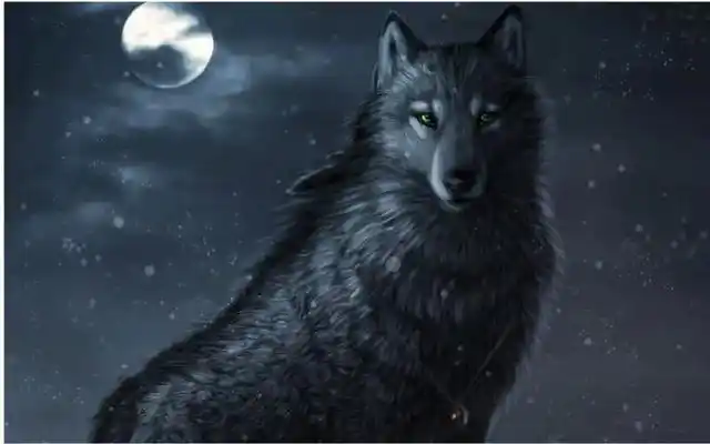 蒙古獒——狼王目露凶光(小说连载25)