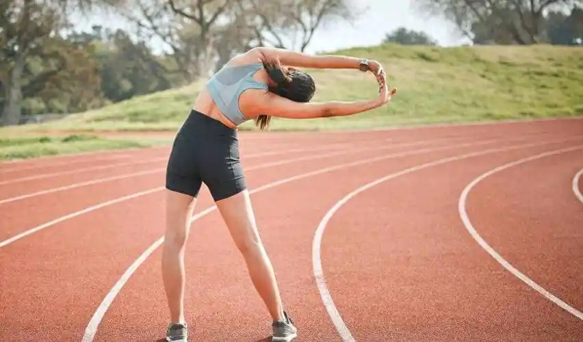 解析与指南_运动_活动_进行