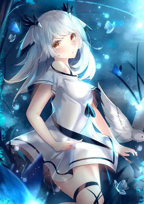 信仰白咕咕神教吧特辑系列第1期白面鸮篇