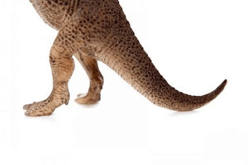 霸王龙的大尾巴让它在恐龙时代所向披靡