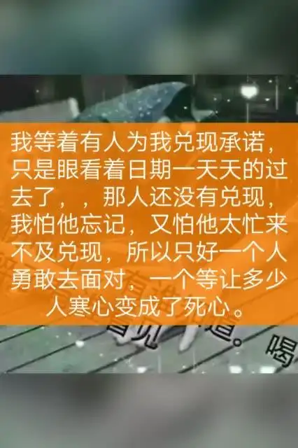 往后余生,不谈感情