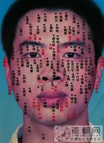 面部痣相图,长痣面相图-瓷都网痣相图解男人面部上的痣吉凶分析本资料