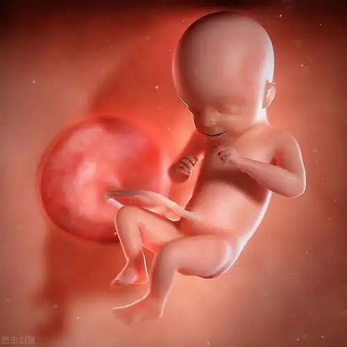 前置胎盘到了孕晚期会发生什么请谨慎对待